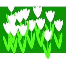 Nature - Spring Flowers clip art 