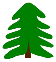 Nature - Spruce 