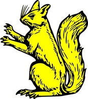 Squirrel clip art