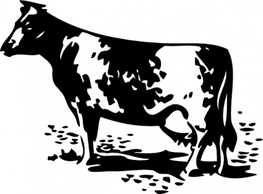 Animals - Standing Cow clip art 