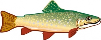 Animals - State Michigan Symbols Fish Animal Trout 