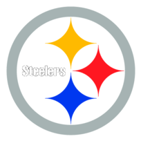 Steelers Helmet 