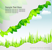 Flowers & Trees - Stock template greenery and nature 