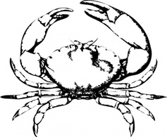 Animals - Stone Crab clip art 