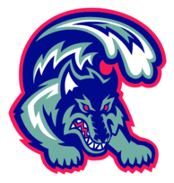 Stony Brook Seawolves 