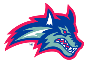 Stony Brook Seawolves 