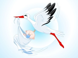 Animals - Stork Baby Cartoon 