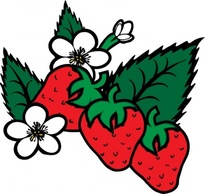 Strawberries clip art Preview