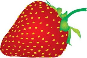 Food - Strawberry 2 