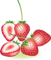 Food - Strawberry 6 