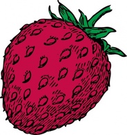 Food - Strawberry clip art 