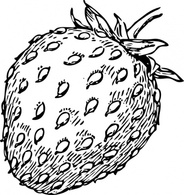 Food - Strawberry clip art 