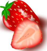 Strawberry clip art