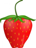 Food - Strawberry clip art 