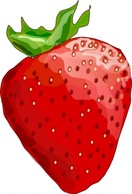 Food - Strawberry clip art 