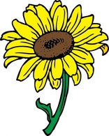 Flowers & Trees - Sunflower clip art 