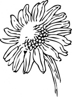 Flowers & Trees - Sunflower clip art 