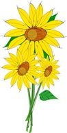 Sunflowers clip art 