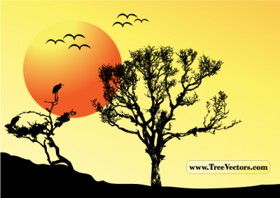 Nature - Sunset Vector Tree Background 