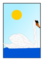 Swan