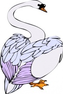 Animals - Swan Walking clip art 