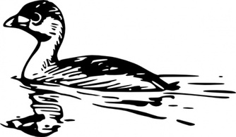 Animals - Swimming Duck clip art 