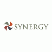 Synergy Financial Group