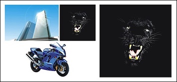 Tall buildings, Panthers and motorcycles vector material Preview