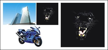 Buildings - Tall buildings, Panthers and motorcycles vector material 