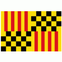 Government - Tarrega city_official flag 