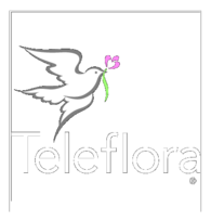 Teleflora Preview