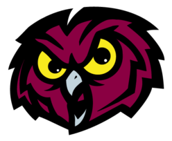 Temple Owls