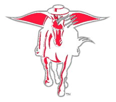 Texas Tech Red Raiders 