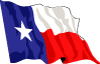 Texas Vector Flag Preview