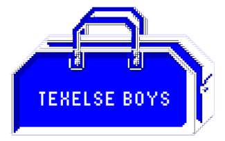 Texelse Boys