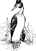 The Grebe clip art Preview