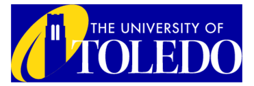 The University Of Toledo 