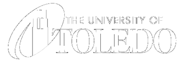 The University Of Toledo 