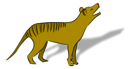 Thylacine