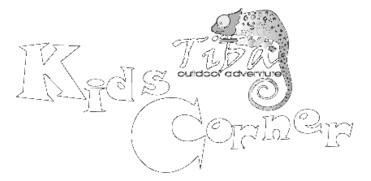 Tiba Kids Corner Preview