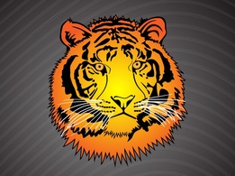 Animals - Tiger Head Vector 