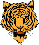 Tiger Head Vector 3 