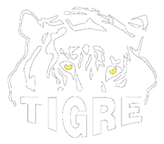 Tigre