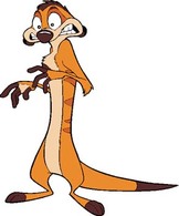 Timon 1