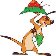 Timon 10