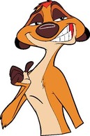 Timon 11