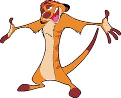 Timon 8