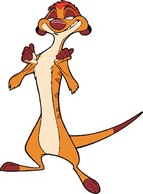 Timon 9