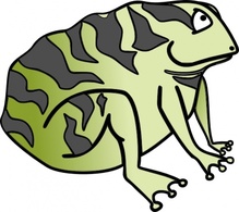 Animals - Toad clip art 