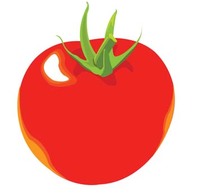 Tomato 4